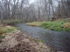 2008-11-30pic114(Crane Creek)(resized)
